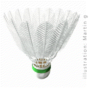 ShuttleCock