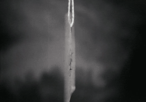 photo tumblr_m7gnq0fbI41runceko1_500_zpsbfc7261c.gif