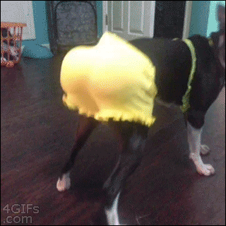 photo twerk_gif_pagespeed_ce_IkZkte2Cyo_zps4744e740.gif