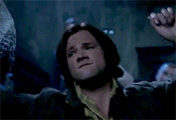 photo tumblr_m8454hrxN31rziwwco1_250_zpscd7f9e2d.gif