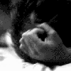 Photobucket Pictures, Images and Photos