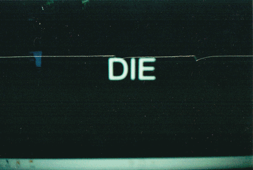 photo tumblr_liksl0zm8O1qd7oe5o1_500.gif
