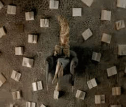 Floating photo 133873849777350.gif