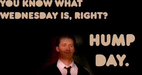 hump day photo: Happy Hump Day! HappyHumpDay.gif