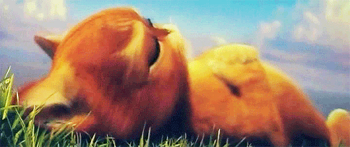 Sex pov butt gif with you What sex pov butt gif
