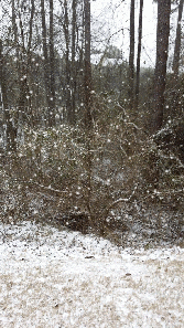 20140128_142703-SNOW