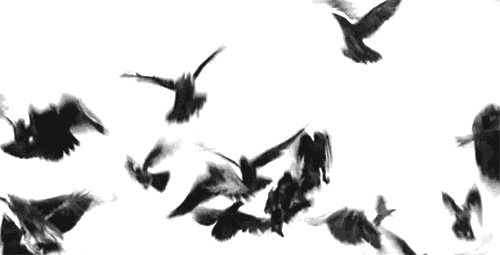 photo tumblr_lvhkey9G3b1qg6rkio1_500_zps6bde710d.gif