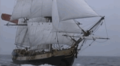  photo SJD2CbySueBee_zpsf341c78a.gif