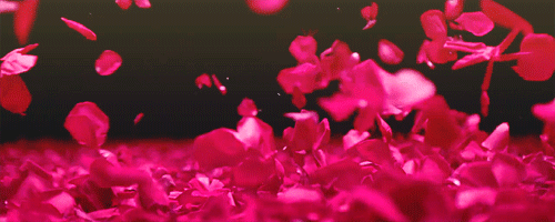 photo rosepetals_zps421784df.gif