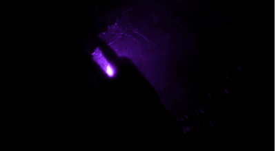  photo fallingPbysb_zps7f8cb5ed.gif