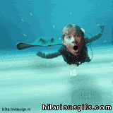 Image and video hosting by HilariousGIFs.com