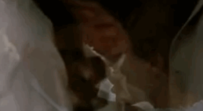  photo SJD3BbySueBee_zpsbc587912.gif