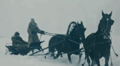  photo SJD3CbySueBee_zpsa03610ea.gif