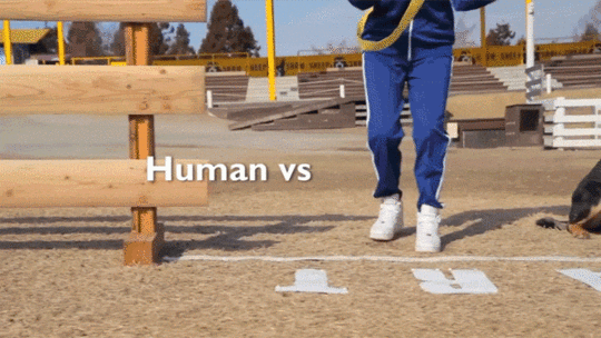 How Many Game Commercials Have You Seen with a Health Warning?