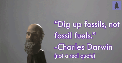 Dig up fossils