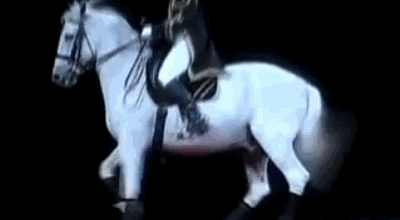  photo D2CbySueBee_zps1a9e5d90.gif