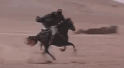  photo D3Bbysbx_zps9b4146e9.gif