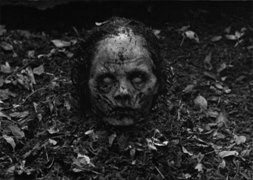  photo tumblr_inline_mk5kueeXm71qz4rgp.gif