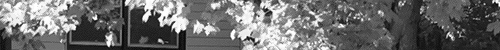  photo tumblr_msmv8iKQnm1rzadffo1_500_zps4931e4cc.gif