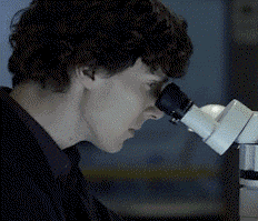 BBC Sherlock photo: sherlock gay 2yuf0wl.gif