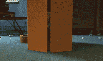 photo tumblr_mp6so4Gsm41s9f082o1_400_zpsc9cc1afb.gif