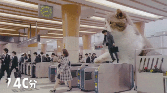 I Want a Giant Cat To Carry Me To Work, Too