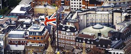 photo tumblr_mjnalbzLam1rae175o4_500.gif