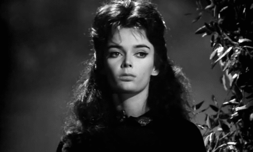  photo barbarasteele_zpsb65fa3ea.gif