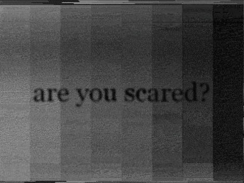 photo tumblr_mx55egcowo1sc2un6o1_500.gif