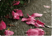 rain-uuuuuuuuuuuuuuuuu