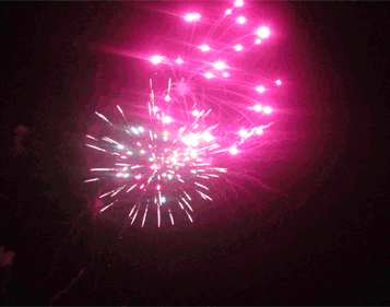 firework gif photo: pink firework gif fire11.gif