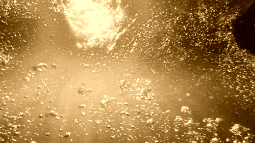  photo divingSe_zps3db63ac2.gif