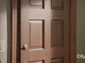 wwoofer insect in bed