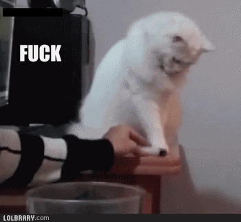 Image and video hosting by TinyPic