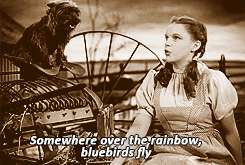 tumblr_m8ckquObK01qaeet6o1_250