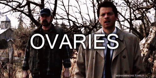 photo ovariesexplode_zps26a58686.gif