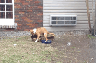 photo 23uzig9_zpsb81b7078.gif
