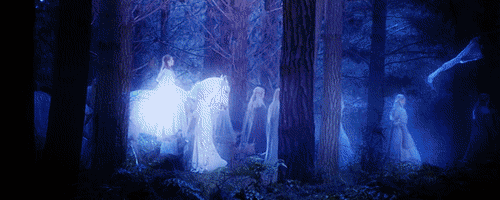 Image and video hosting by TinyPic