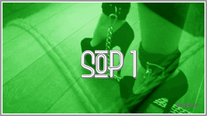  photo KickstoryxBTbysb_zps66ff0996.gif