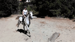 Image and video hosting by TinyPic