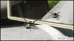 photo areyouhavingfunyet_zpse9fb64f0.gif