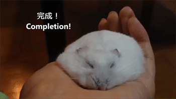 tumblr_n4qxn8NdFf1rc7zl1o5_400