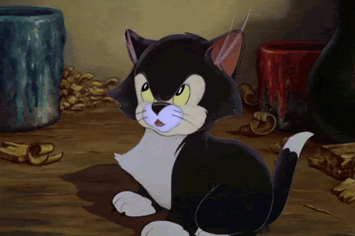 dislike photo: figaro dislike 0p5zr.gif
