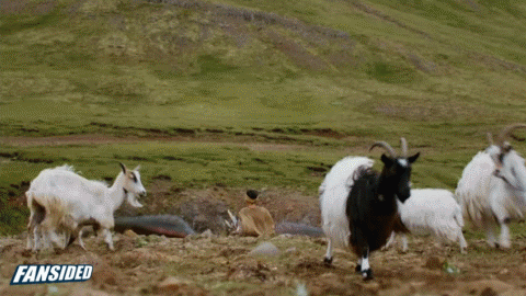 Credit: Zombie Prophet