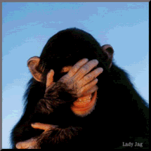 laughing monkey photo: laughing monkey laughing-monkey.gif