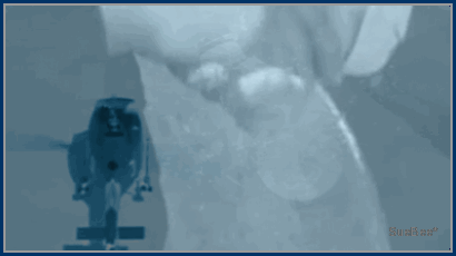  photo BS2endxBbysb_zpsce605b4f.gif