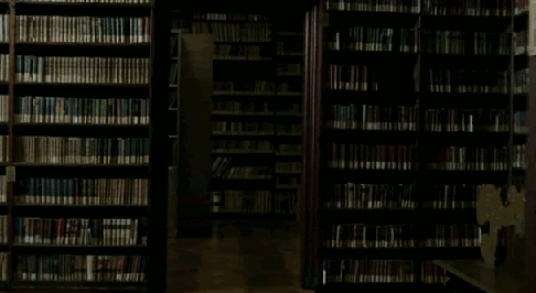  photo biblioteca.gif