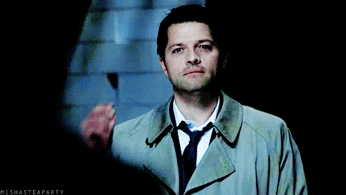 photo 804255.gif