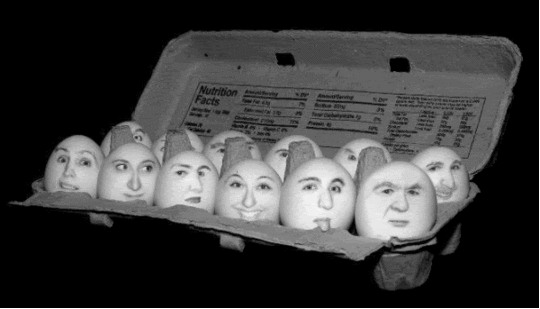 Egg heads photo: Egg Heads goodmorningeggsforbreakfast.gif
