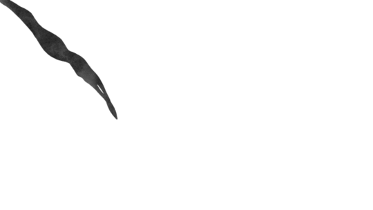  photo oie_10153235QDSRjP5z_zpsb359a398.gif